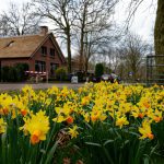 20220312 125241 TWA 7576.gr